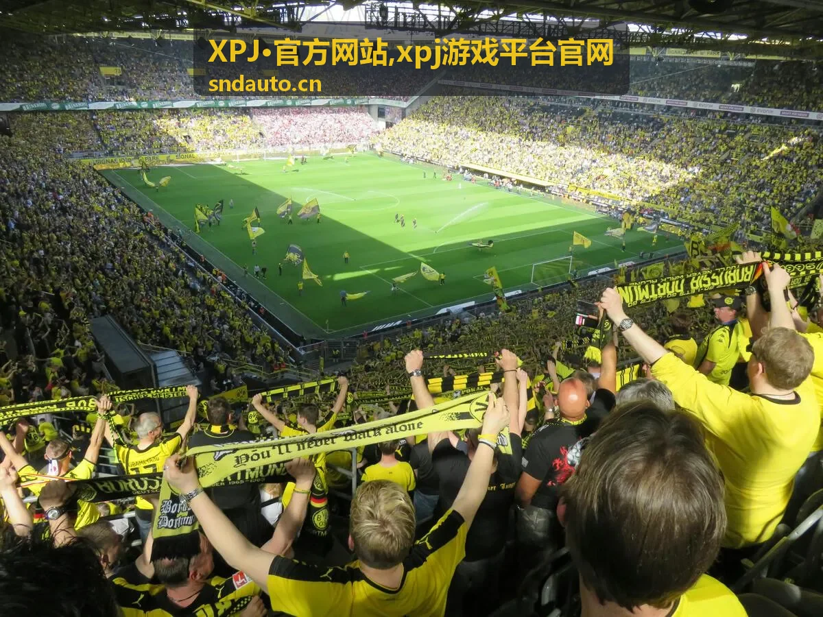 XPJ·官方网站与xpj游戏平台官网精选内容展示